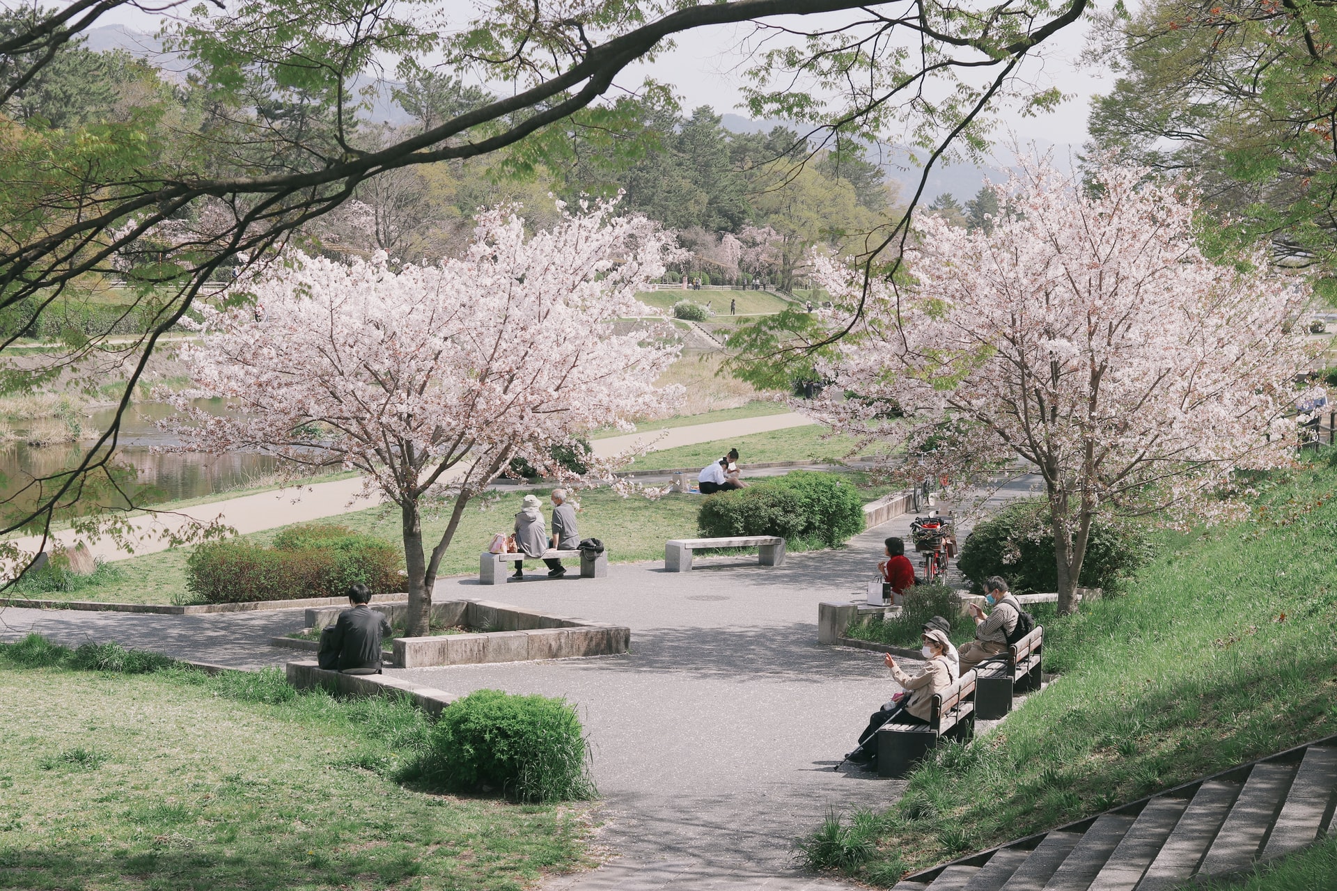 Growing equity in city green space | Mastering Public Space