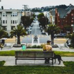 San Francisco Shared Spaces Sustainability Strategy